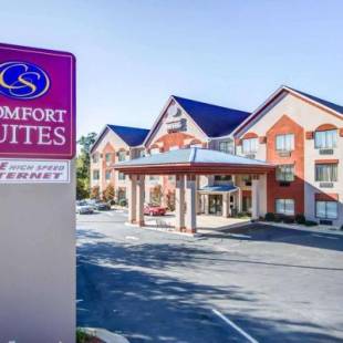 Фотографии гостиницы
Comfort Suites Northside Hospital Gwinnett