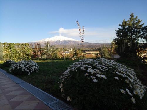 Фотография мини отеля Good Morning Etna