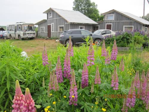 Фотография базы отдыха Клевый берег