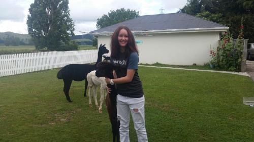 Фотография мини отеля The Homestead B&B