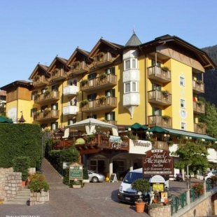 Фотография гостиницы Alexander Hotel Alpine Wellness Dolomites