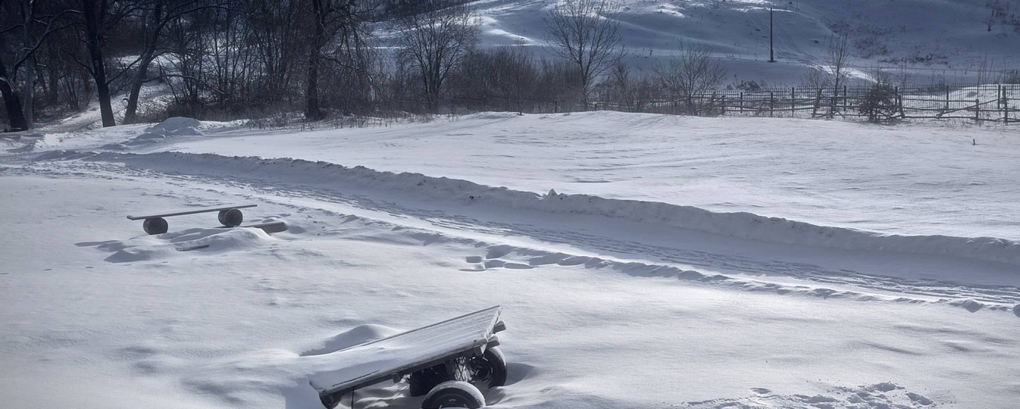 Ясная полянна