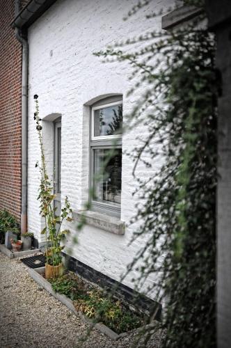 Фотография гостевого дома Wetterdelle