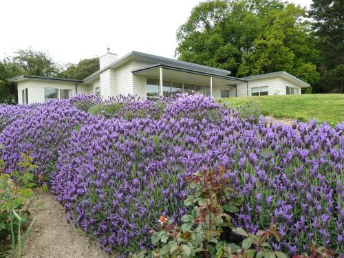 Фотография мини отеля L'abri Bed and Breakfast