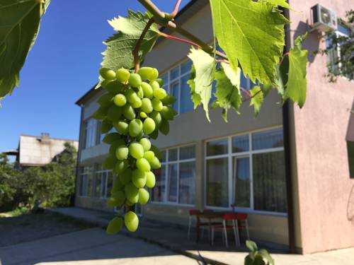 Фотографии гостевого дома 
            У Арсена