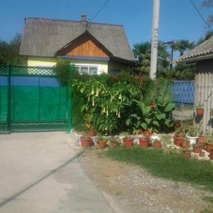 Фотография гостевого дома У Рузанны