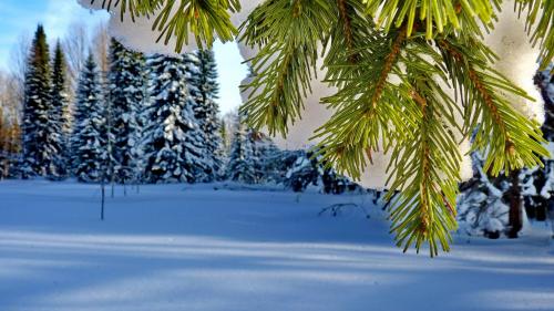 Фотографии гостиницы
Гостиный перевал