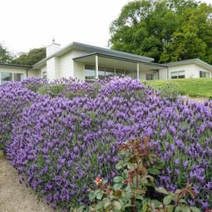 Фотографии мини отеля
L'abri Bed and Breakfast