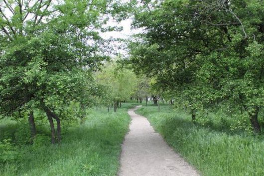 Фотографии достопримечательности
Пионерская роща