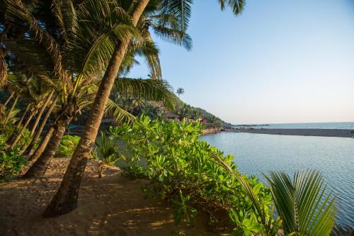 Фотография гостиницы Blue Lagoon Resort Goa