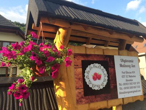 Фотография мини отеля Malinovy Sen