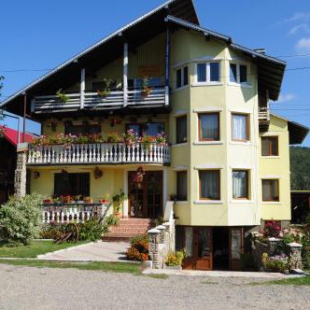 Фотография гостевого дома Pensiunea Orhideea