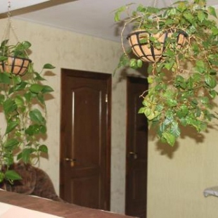 Фотография гостевого дома RELAXTUT