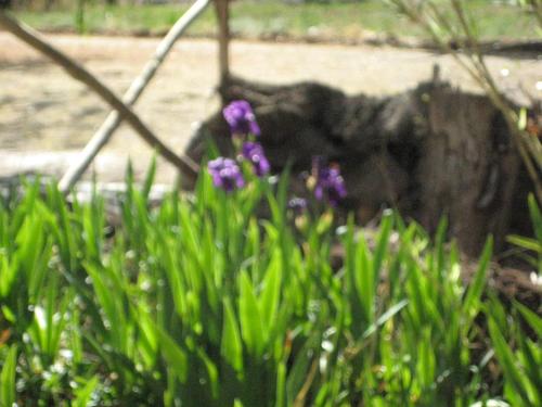 Фотография гостевого дома LOVELY MOUNTAIN HOUSE in a finca