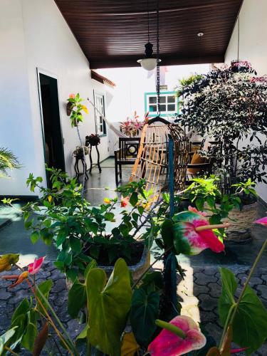 Фотография мини отеля Pousada Canteiros