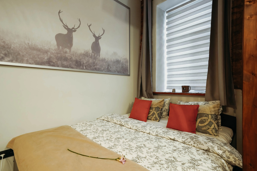 Фотография квартиры Апартаменты Alpine Castle