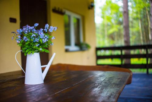 Фотография гостевого дома Kurort Mirowice