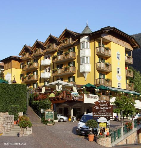 Фотографии гостиницы 
            Alexander Hotel Alpine Wellness Dolomites
