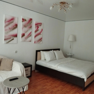 Фотография квартиры Квартира Трёхместные Центр Светлая Теплая