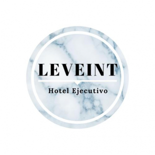 Фотография гостиницы Leveint Executive Hotel
