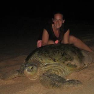 Фотографии гостиницы 
            All View Resort