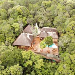 Фотографии мини отеля
Trogon House and Forest Spa