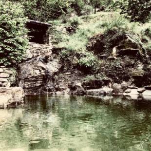 Фотографии гостиницы
PIPPO'S LITTLE RESORT/2