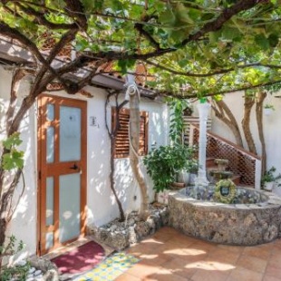 Фотография мини отеля 14 Leoni