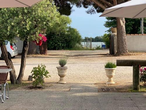 Фотография гостиницы Hôtel Restaurant La Plage