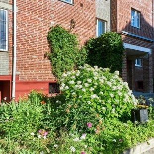 Фотография квартиры 67Квартир на улице Рыленкова