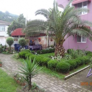 Фотография гостевого дома twins hotel