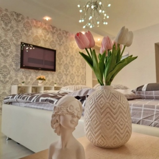 Фотография квартиры Апартаменты Просторные Однокомнатные