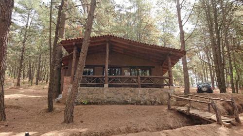 Фотография гостевого дома Cabañas Tapalpa Sierra del Tecuan, Cabaña Venado