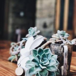 Фотографии гостевого дома
Makoadi Farms Guesthouse