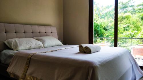 Фотография гостевого дома Eden Blue