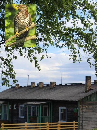 Фотография гостевого дома Кукушечка