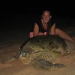 Фотография гостиницы All View Resort