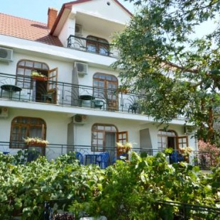 Фотография мини отеля Эвкалипт