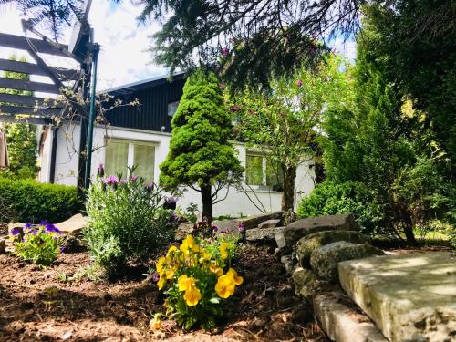 Фотография гостевого дома Am Ilmblick 50 Ferienhaus