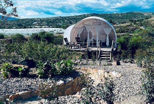 Фотография базы отдыха Origen Glamping