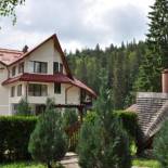 Фотография гостевого дома Pensiunea Sura Dacilor - Alex