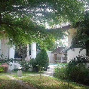 Фотографии гостиницы
Bamboo Resort