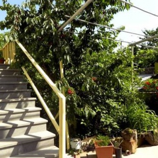 Фотография хостела Balcony Villa Hostel