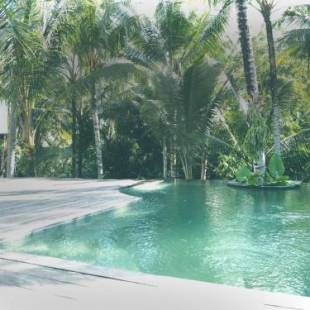 Фотографии кемпинга
Ubud Tropical