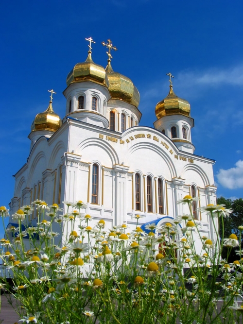 Фотографии храма 
            Свято-Покровский храм