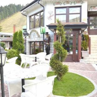 Фотография гостиницы Hotel Alpin