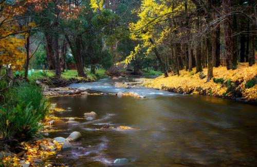 Фотография базы отдыха Goldfield Holiday Units
