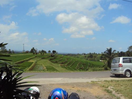 Фотография мини отеля Teras Subak Jatiluwih