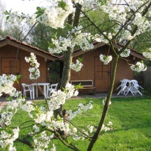 Фотография гостевого дома Pension Trojská