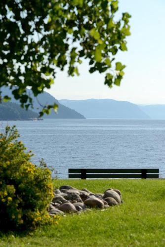 Фотография мини отеля Auberge des 21